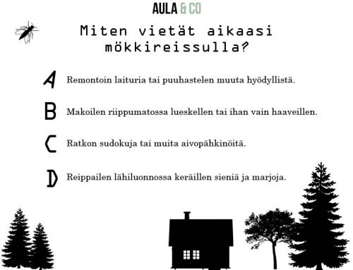 Nettitestit uutuuskirjojen markkinointiin